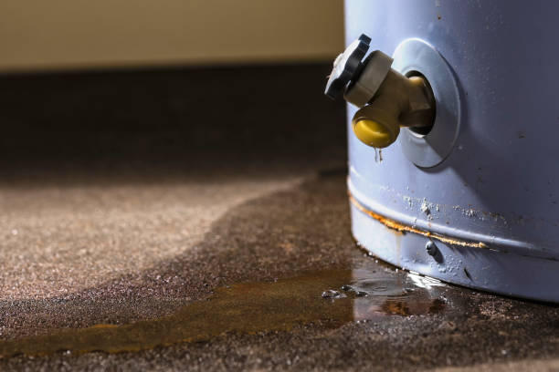 Best Water damage mitigation services  in Asbury, IA