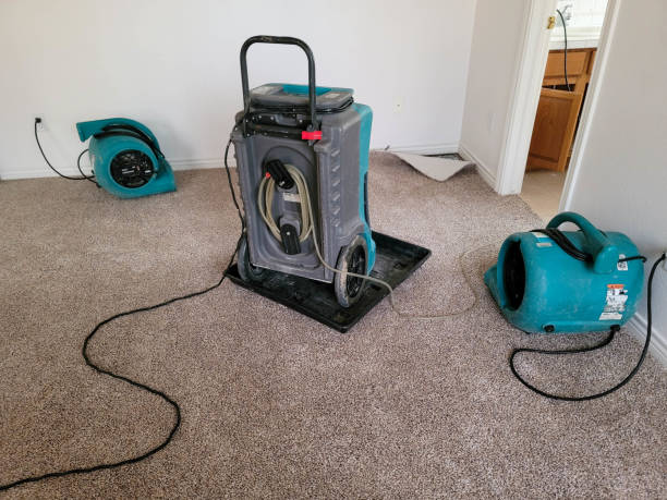 Best Carpet water damage restoration  in Asbury, IA
