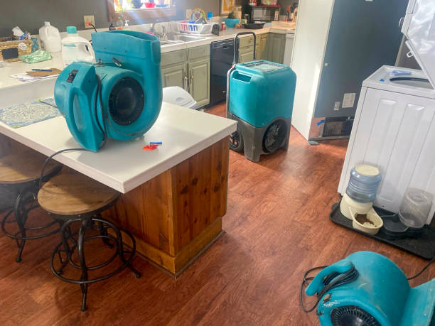 Best 24-hour water damage restoration  in Asbury, IA