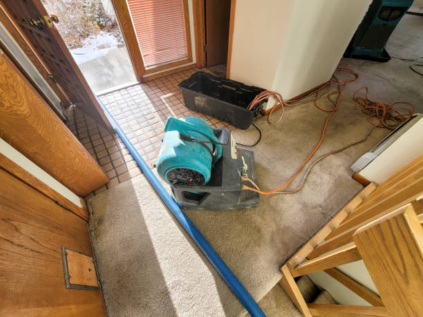  Asbury, IA Water damage restoration Pros