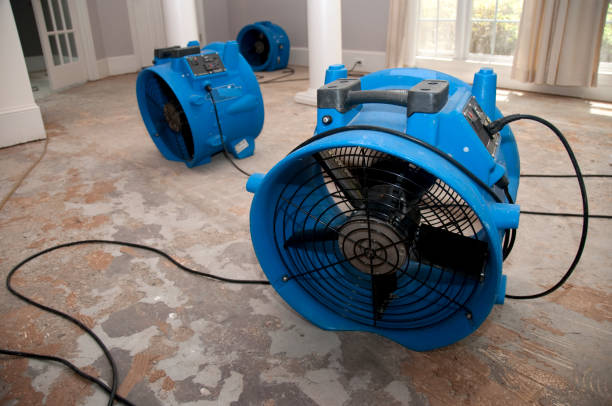 Best Professional water damage repair  in Asbury, IA