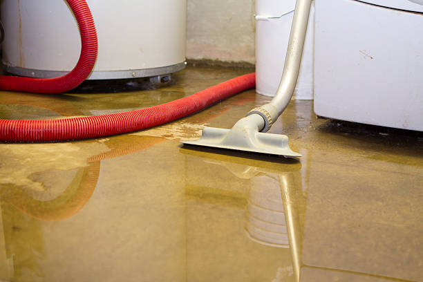 Reliable Asbury, IA Water damage restoration Solutions