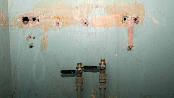 Best Mold removal after water damage  in Asbury, IA