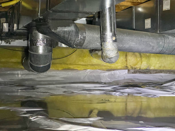 Best Residential water damage restoration  in Asbury, IA