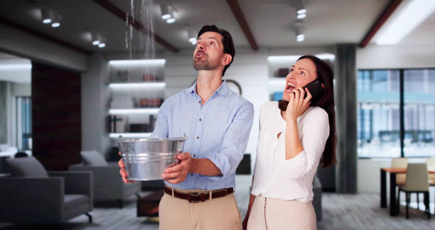 Best Water damage restoration near me  in Asbury, IA